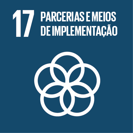 ODS 17 — Parcerias e Meios de Implementação: identidade visual oficial